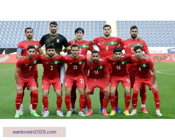 世界杯赛事全面解析与投注技巧指南助你精准投注赢取收益